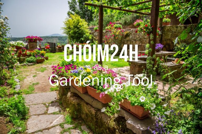Chóim24h