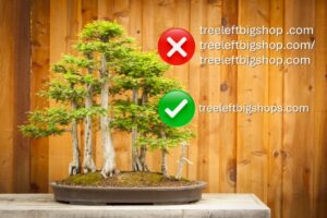brand awareness of treeleftigshop